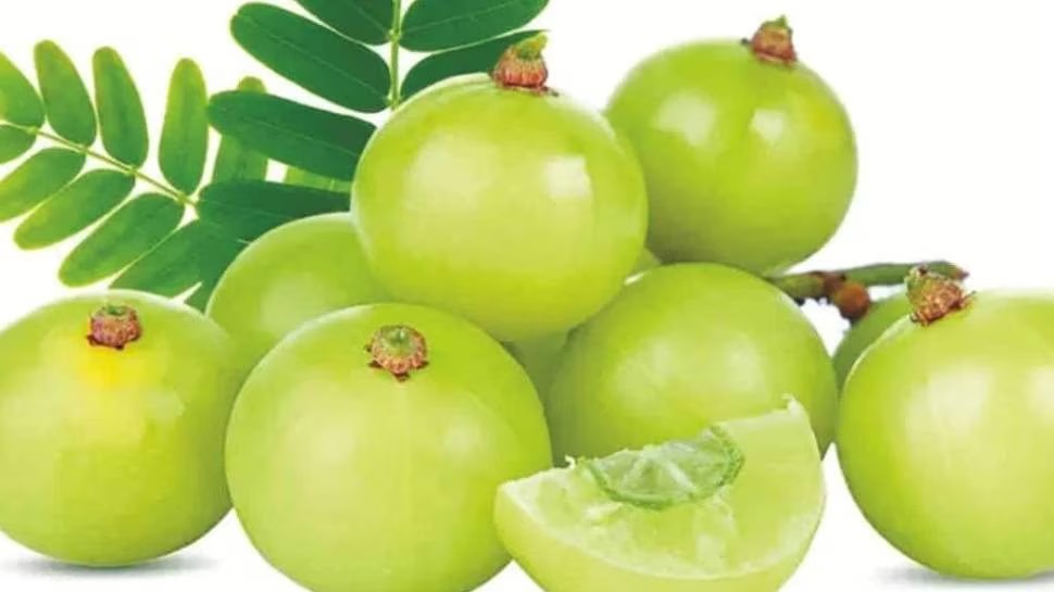 வைட்டமின் சி நிறைந்த நெல்லிக்காய் பச்சடி செய்யலாம் வாங்க!