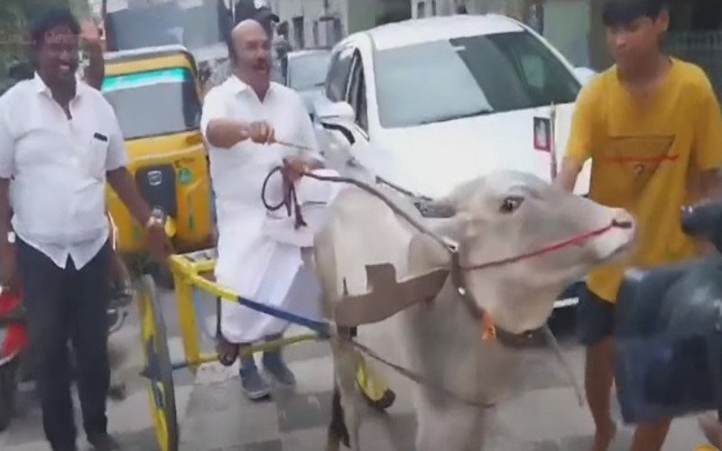 மாட்டு வண்டியில் பயணித்த முன்னாள் அமைச்சர் ஜெயக்குமார்!