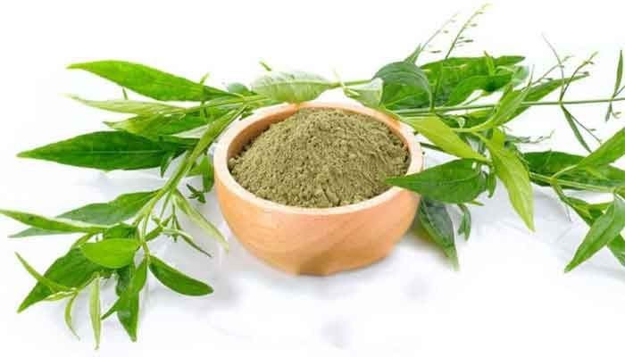 டெங்கு காய்ச்சலுக்கு மருந்தாகும் நிலவேம்பு குடிநீரும் மக்களின் அச்சமும்!