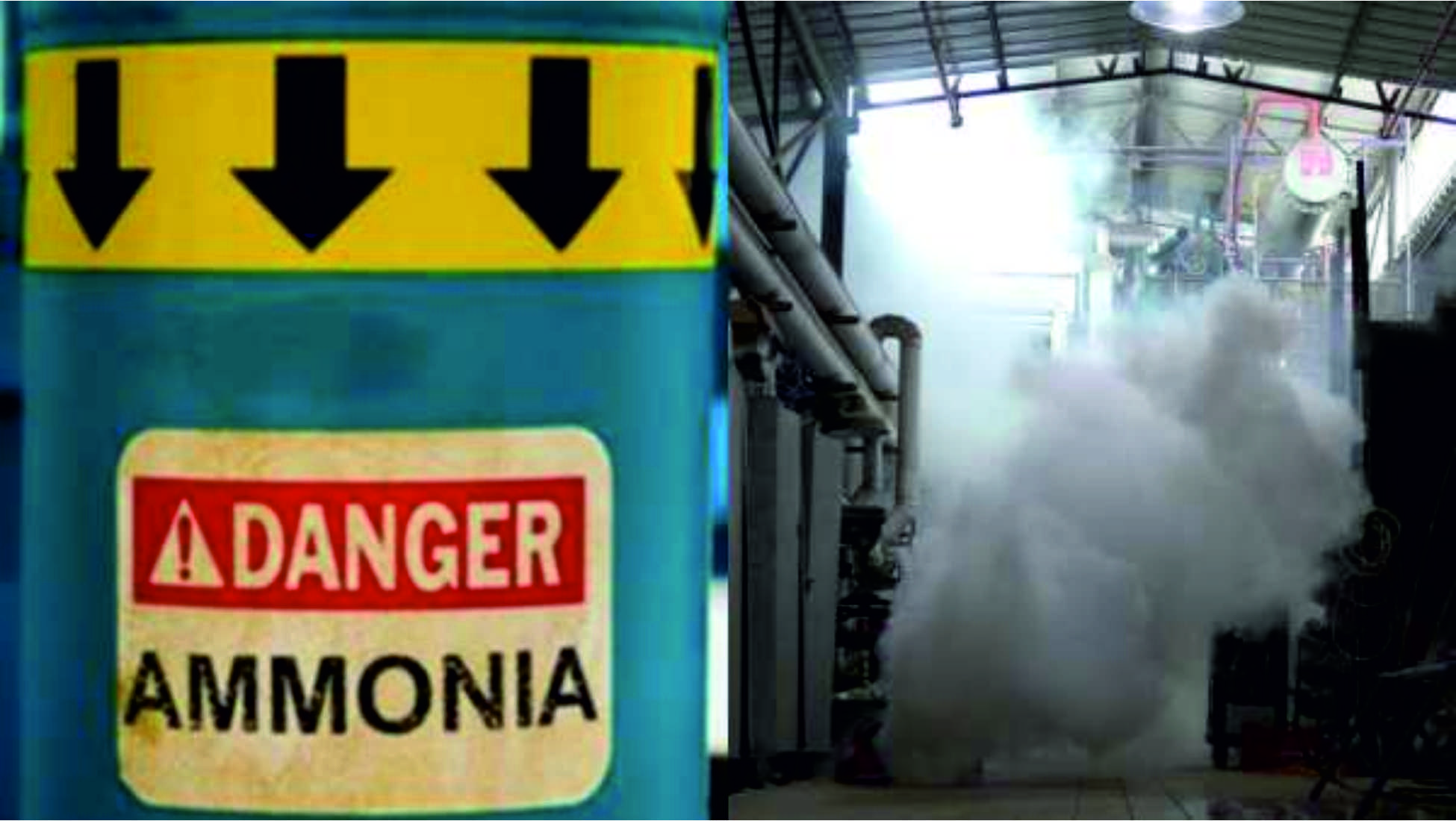 எண்ணூர் உர ஆலையில் அமோனியா வாயு கசிவு - அனைத்து ஆலைகளிலும் பாதுகாப்பு தணிக்கை மேற்கொள்ள வேண்டும்! – அன்புமணி ராமதாஸ் வலியுறுத்தல்