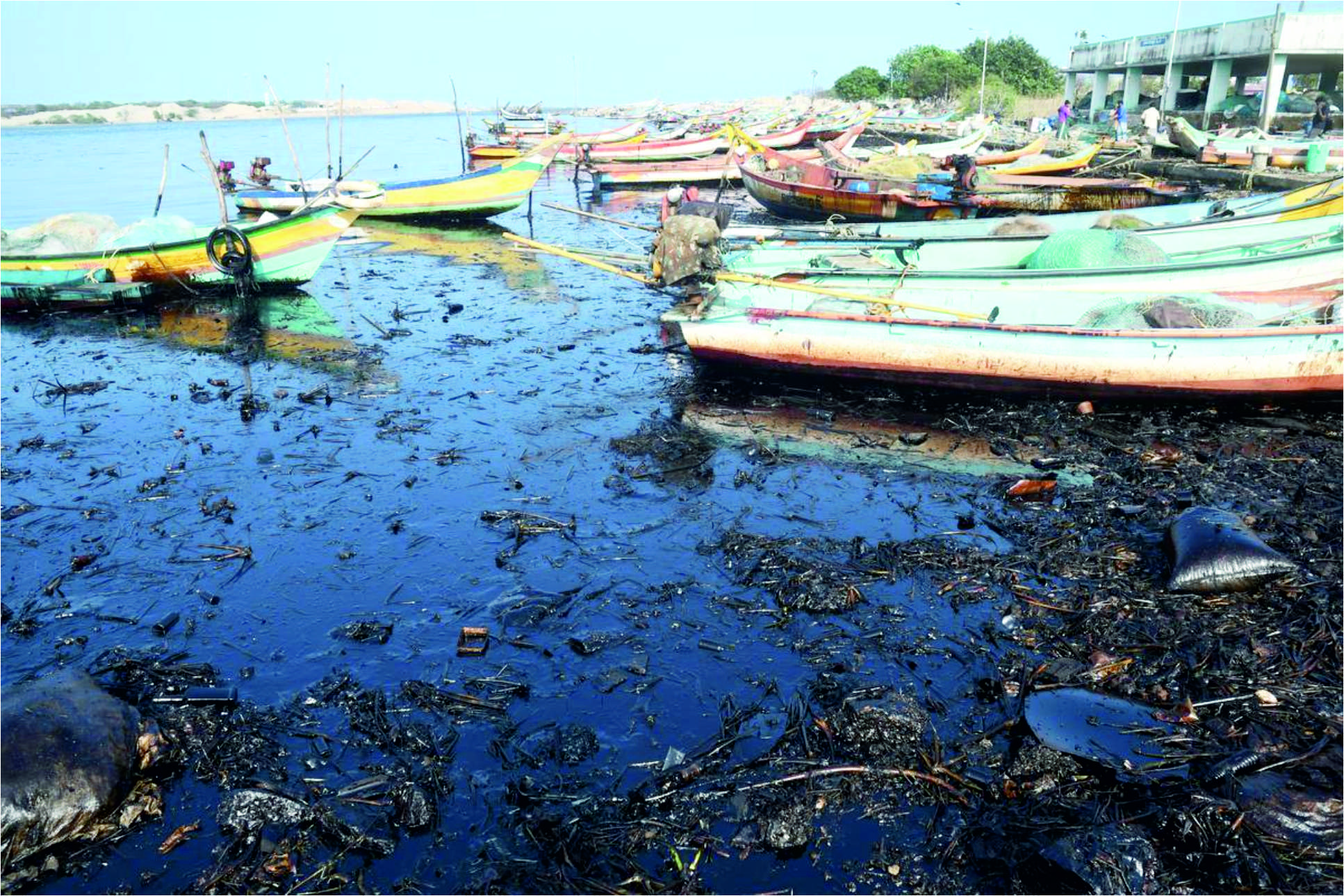 எண்ணெய் கசிவால் பாதிக்கப்பட்ட மக்களுக்கு நிவாரணம் வழங்க ஒன்றிய அரசு மாநில அரசுக்கு உதவ வேண்டும் - அன்புமணி ராமதாஸ் கோரிக்கை