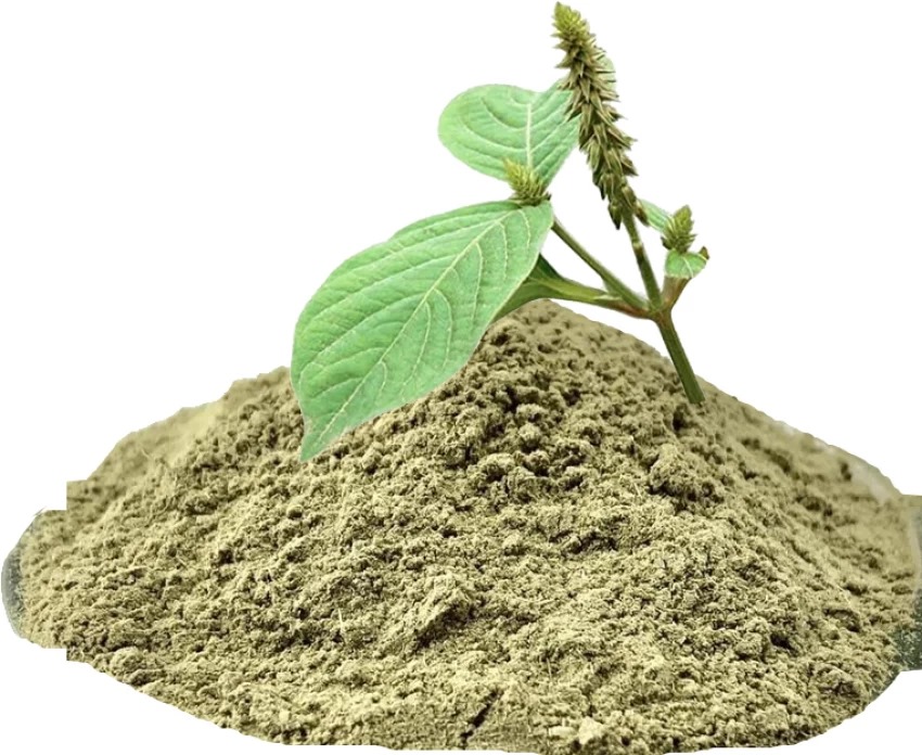 நரம்புகளை வலுவாக்கும் நாயுருவி மூலிகை!