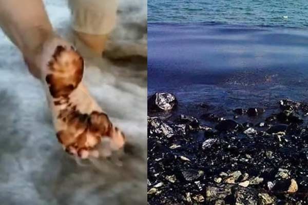 வடசென்னை கடற்பகுதிகளில் படர்ந்திருக்கும் எண்ணெய் படலங்களை அகற்றும் பணியில் பாதுகாப்பு உபகரணங்களுமின்றி ஈடுபடும் மீனவர்கள் – டிடிவி தினகரன் கண்டனம்!