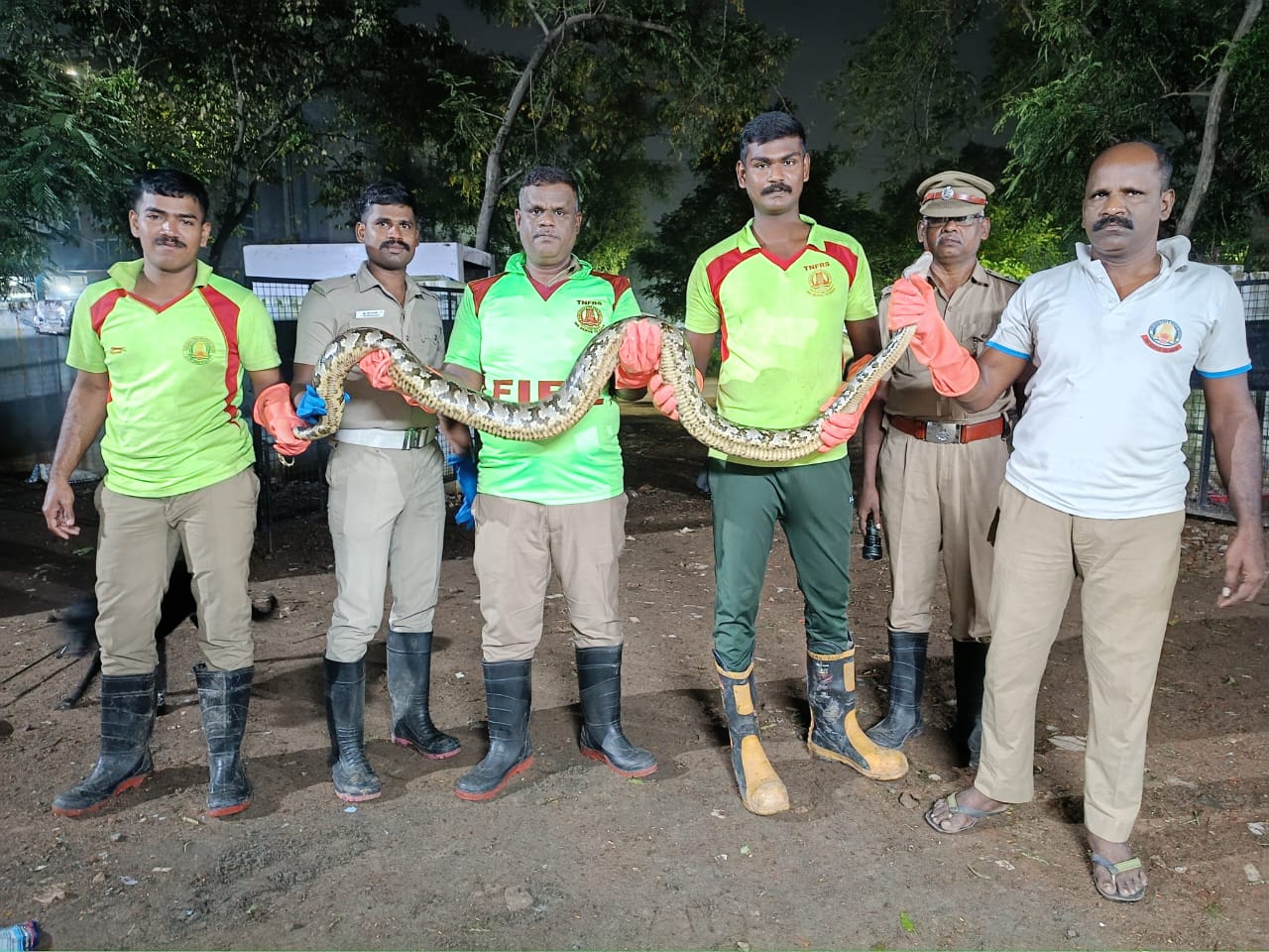 பத்தடி நீளம் கொண்ட மலை பாம்பு -வனத்துறையினரிடம் ஒப்படைப்பு