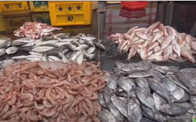 கிறிஸ்துமஸ் பண்டிகையை ஒட்டி மீன்களை வாங்க குவிந்த மக்கள்!