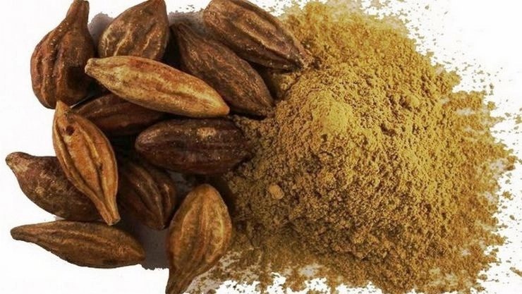 கடுக்காயின் மருத்துவ பயன்கள் பற்றி அறிவோம்!