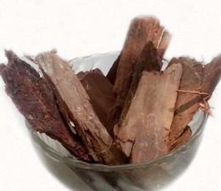 மருதம் பட்டையை பற்றி நீங்கள் தெரிந்து கொள்ள வேண்டியவை!