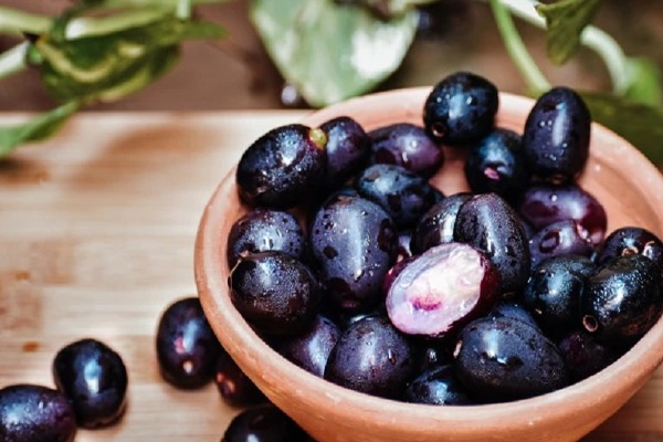 நீங்கள் நாவல் பழ விரும்பிகளா?….. மறந்தும் கூட இத செஞ்சுறாதீங்க!