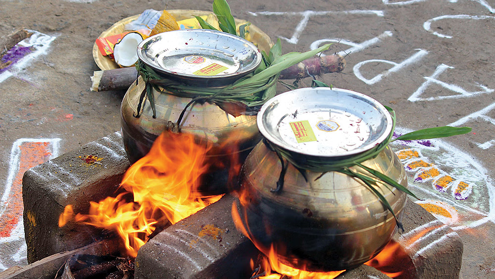 பொங்கல் பண்டிகை