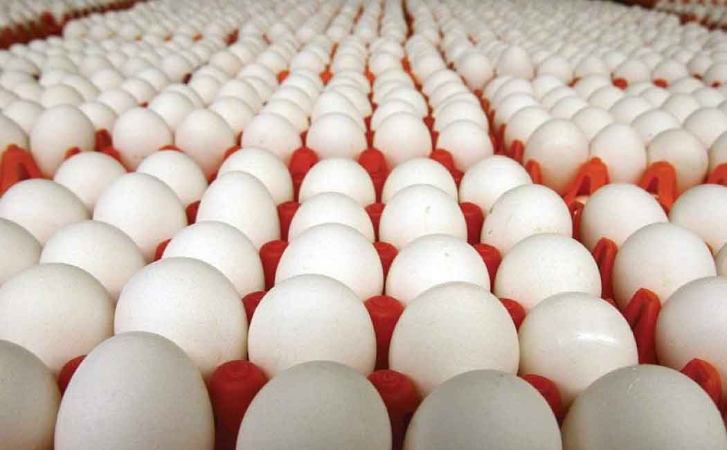 முட்டை விலை புதிய உச்சம்..... சென்னையில் முட்டை விலை எவ்வளவு?