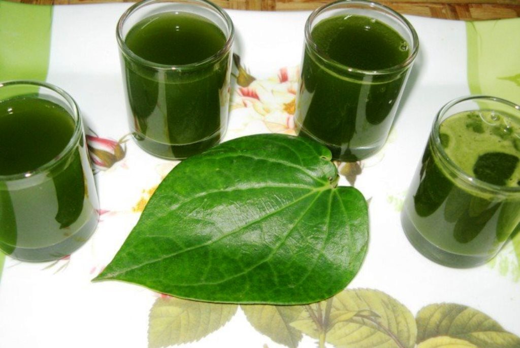 ஜலதோஷத்திற்கு நிவாரணம் அளிக்கும் வெற்றிலை!