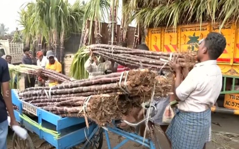 சிறப்பு சந்தையில் பொங்கல் பொருட்களை வாங்க பொதுமக்கள் ஆர்வம்!