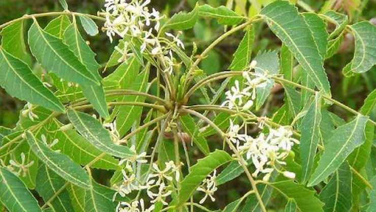 அவசரத்திற்கு உதவும் சில மருத்துவ குறிப்புகள்!