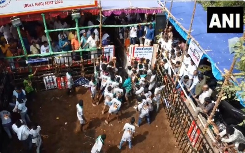 "அவனியாபுரம் ஜல்லிக்கட்டு"- 8ஆவது சுற்று விறுவிறு!