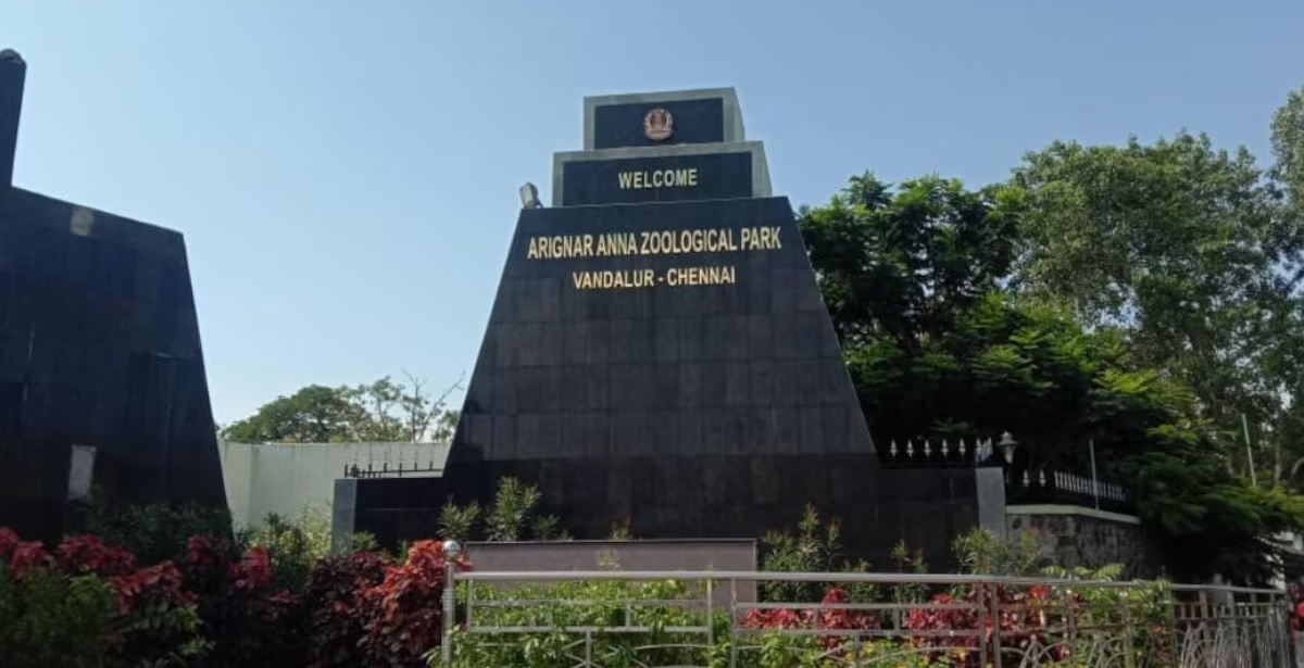 பொங்கல் பண்டிகையையொட்டி, வண்டலூர் பூங்காவில் சிறப்பு ஏற்பாடு!
