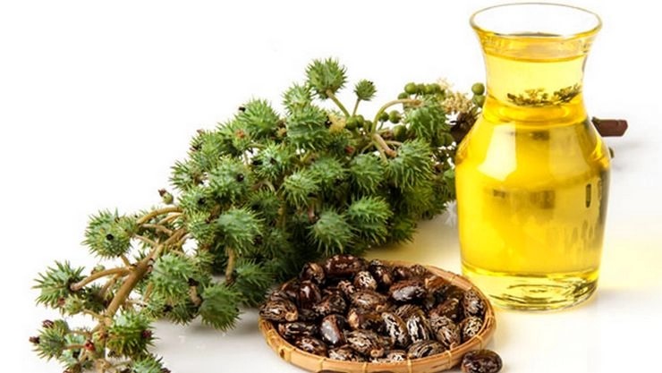 ஆமணக்கில் இவ்வளவு பயன்களா?