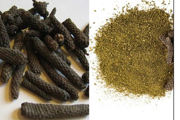 திப்பிலியின் அற்புத குணங்கள்!