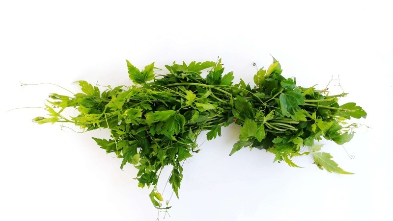 மூட்டு வலி ஏற்பட காரணங்களும் அதனை தடுக்கும் முறைகளும்!