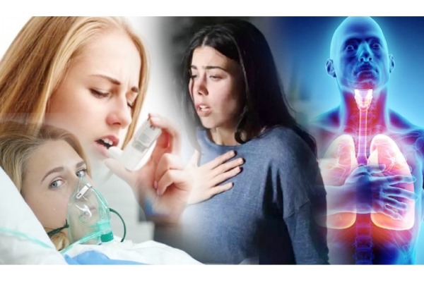 மூச்சுத் திணறலை சரி செய்யும் ஆடாதொடை...... மருத்துவ குணங்கள்!