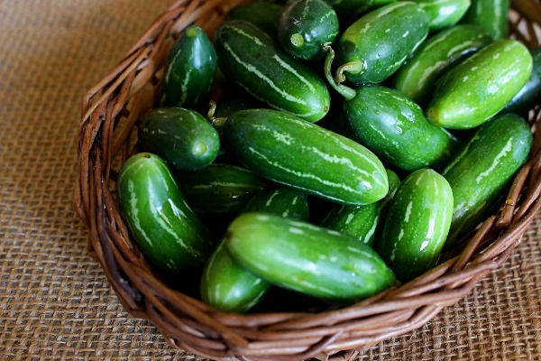 இதயத்தை பாதுகாக்கும் கோவக்காயின் அற்புத குணங்கள்!