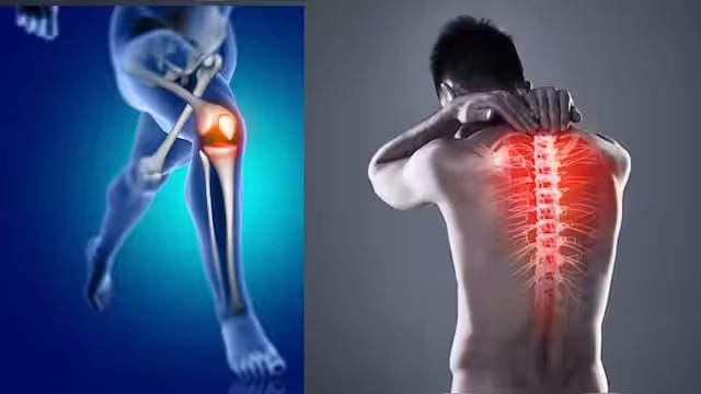 எலும்புகளை பலப்படுத்த சில டிப்ஸ்!