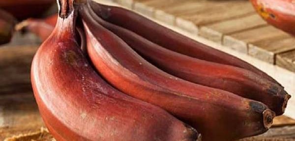 இன்னைக்கு செவ்வாழைப்பழ இனிப்பு பணியாரம் செஞ்சு பாருங்க!