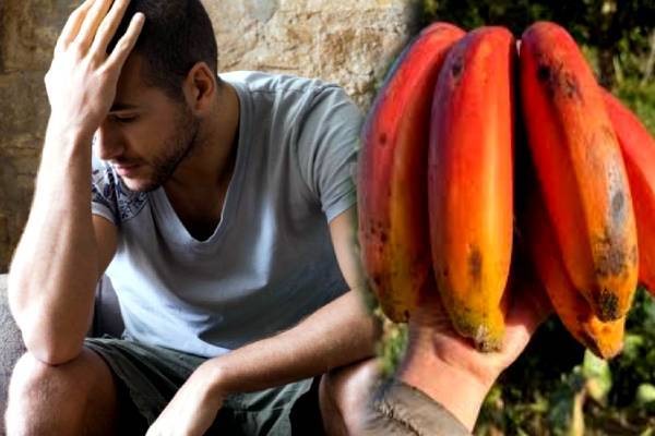 செவ்வாழைப்பழம் சாப்பிட இதுதான் சரியான நேரம்!