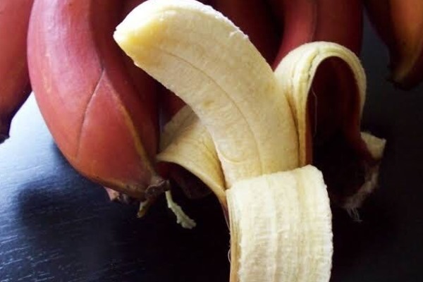 செவ்வாழைப்பழம் சாப்பிட இதுதான் சரியான நேரம்!