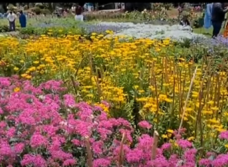 உதகையில் மே 10- ஆம் தேதி முதல் மலர்கண்காட்சி!