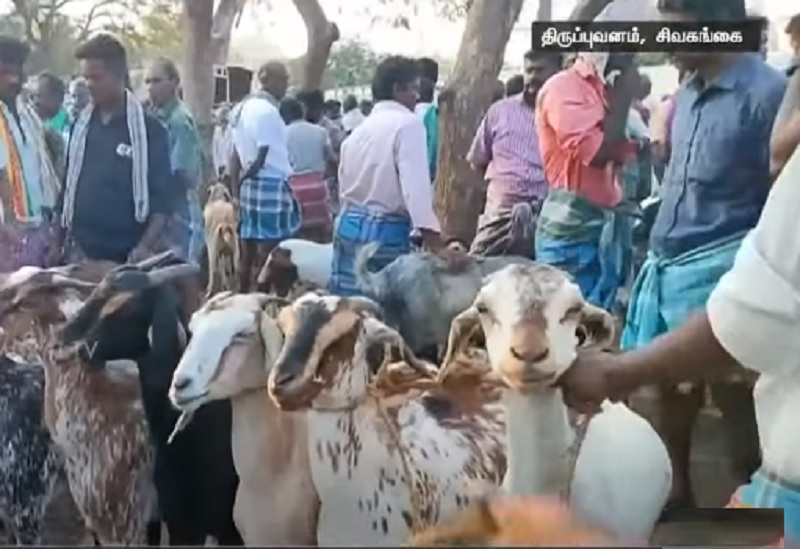 ரம்ஜான் பண்டிகையையொட்டி நடந்த சிறப்பு ஆட்டுச்சந்தைகள்!