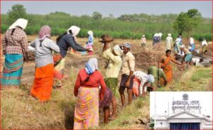 தமிழ்நாட்டில் 100 நாள் ஊதியம் ரூ.319 ஆக உயர்வு