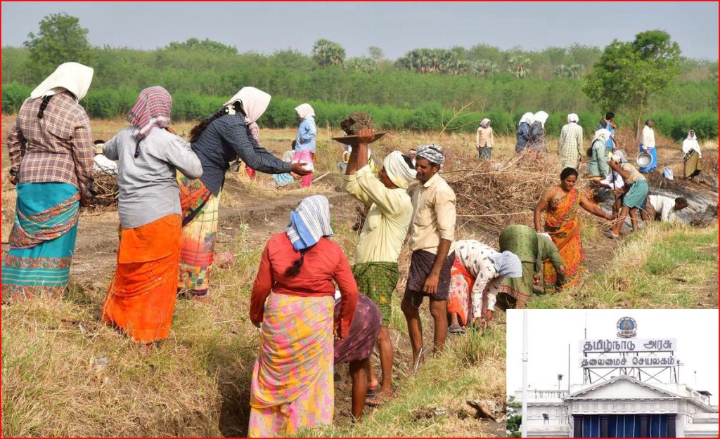 தமிழ்நாட்டில் 100 நாள் ஊதியம் ரூ.319 ஆக உயர்வு