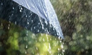 Rain