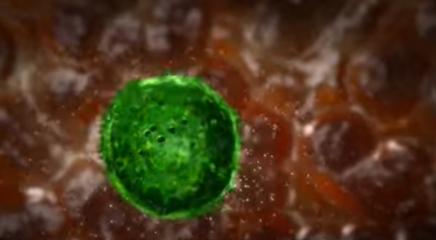 சிங்கப்பூரில் புதிய கோவிட் அலை 