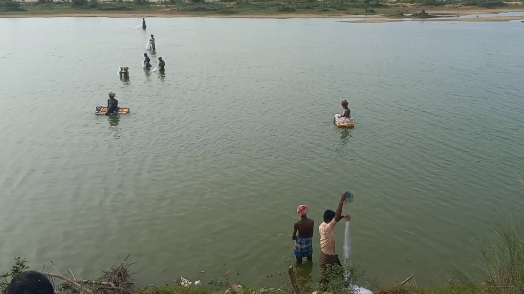 அணைக்கரையில் முதலைப் பண்ணை அமைக்க கோரிக்கை