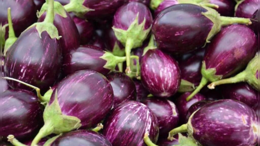 இந்த நோய்கள் இருப்பவர்கள் கத்திரிக்காய் சாப்பிடக்கூடாதாம்!