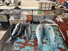 சென்னையில் 15 கோடி செலவில் சர்வதேச தரத்தில் மீன் மார்க்கெட்