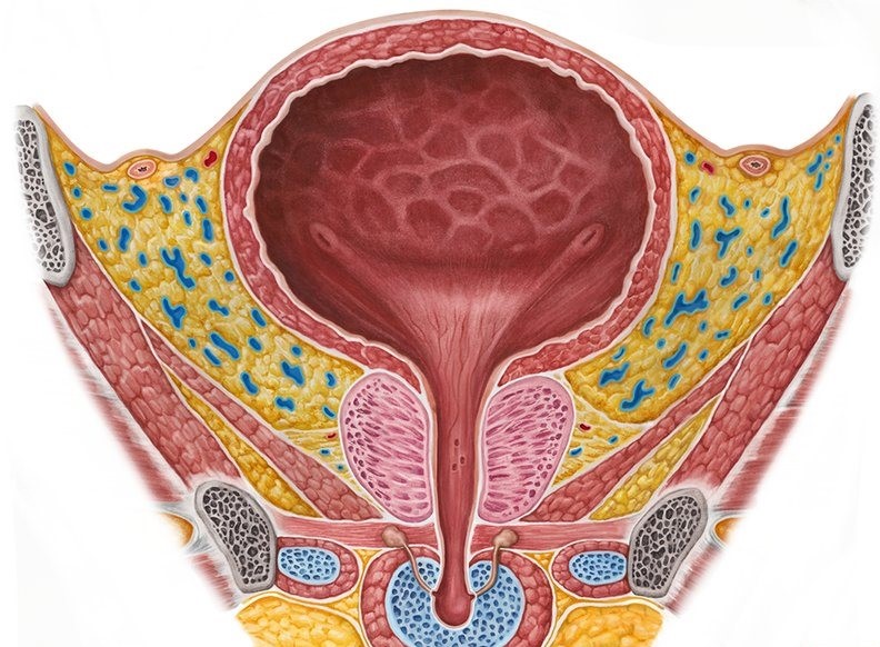அளவுக்கு அதிகமாக தண்ணீர் குடிக்காதீர்கள்!