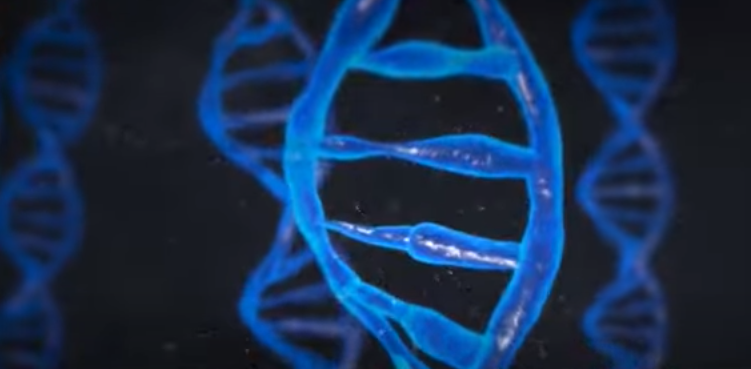 சிங்கப்பூரில் புதிய கோவிட் அலை 