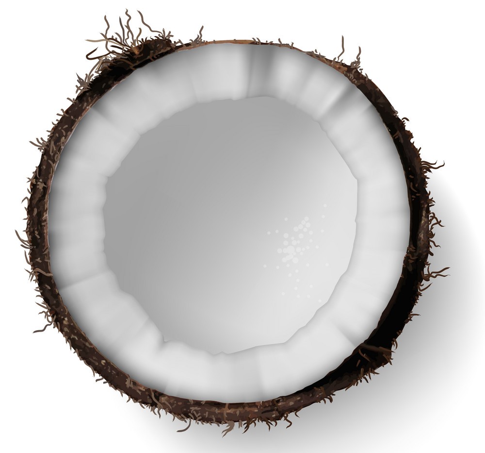 தேங்காய் மஸ்ரூம் சூப் செய்வது எப்படி?