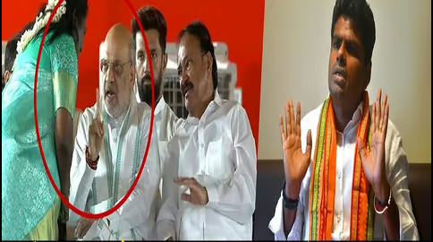 அமித்ஷா அட்வைஸ்! பாஜகவில் என்ன நடக்கிறது?