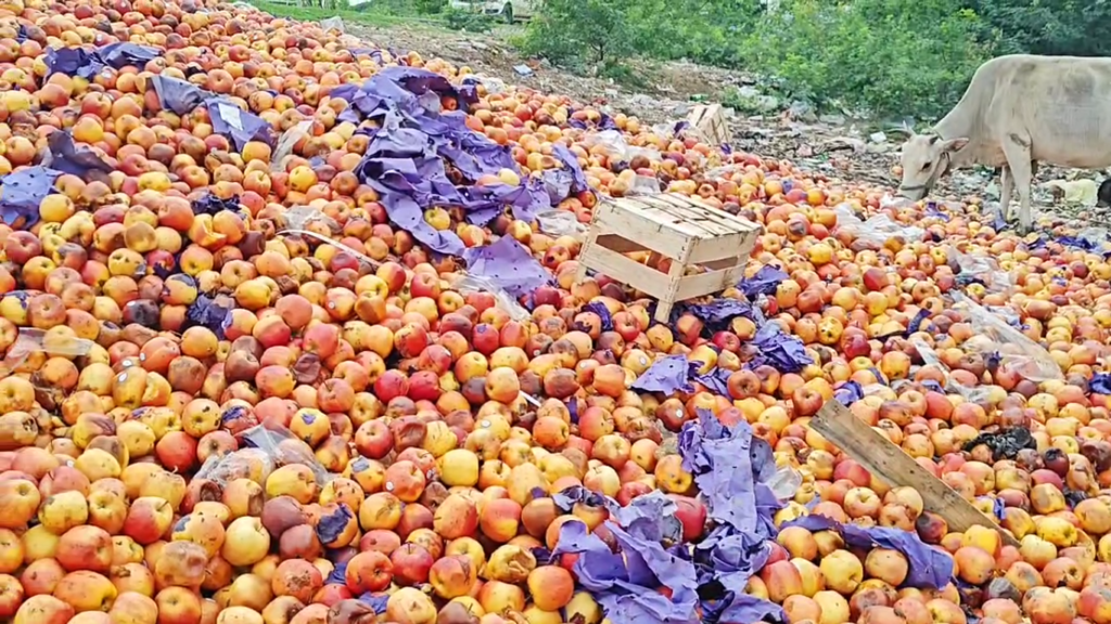 சென்னையில் சாலையோரம் கொட்டப்பட்ட ஆப்பிள்கள்