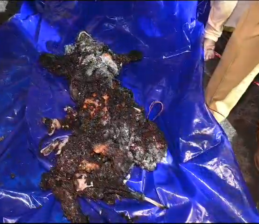 சாலையில் நிறுத்தப்பட்டிருந்த கார் திடீர் தீ பிடித்து எரிந்தது - ஒருவர் உயிரிழந்தார்