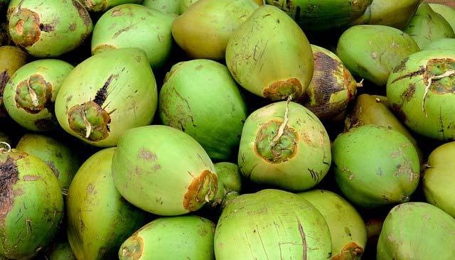 காலையில் வெறும் வயிற்றில் மறக்காம இதை குடிங்க!