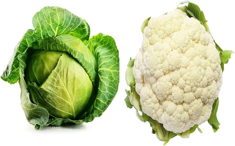 கர்ப்பிணி பெண்கள் தவிர்க்க வேண்டிய உணவு வகைகள்!