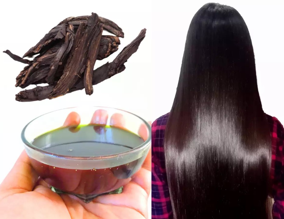 தேங்காய் எண்ணெயுடன் இந்த பொருளையும் சேர்த்துக்கோங்க.... காடு மாதிரி முடி வளரும்!