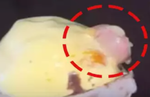 ஐஸ்கிரீமில் மனித விரல்... ஆர்டர் செய்தவர் அதிர்ந்தார்