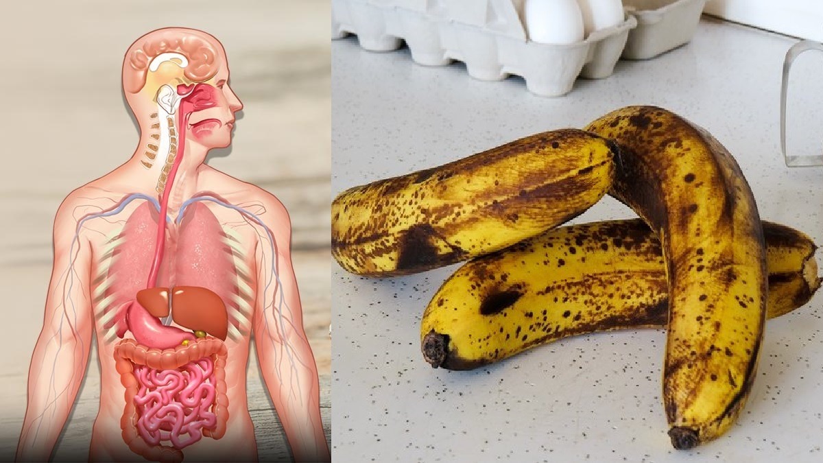 நன்கு பழுத்த வாழைப்பழங்களை ஒதுக்காதீங்க...... ஒன்று சாப்பிட்டாலே அதிக நன்மைகள்!