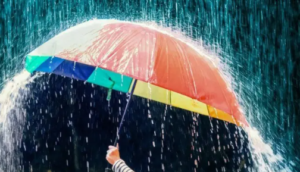 பலத்த காற்றுடன் கொட்டி தீரத்த மழை