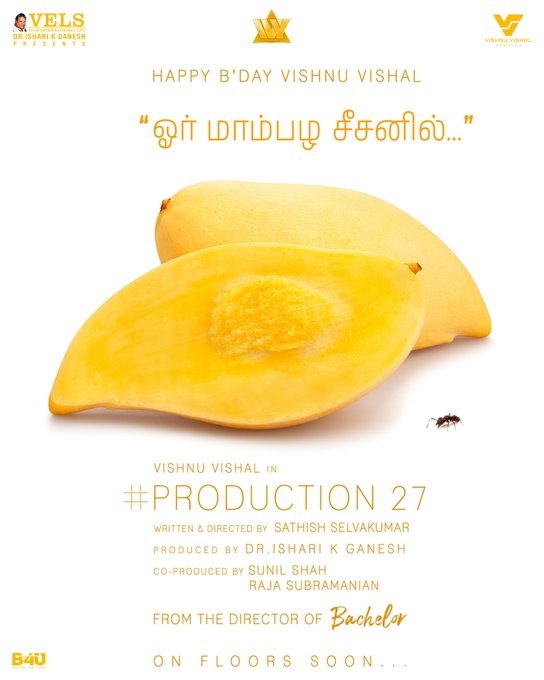 எதிர்பாராத காம்போவில் விஷ்ணு விஷாலின் புதிய படம்..... அதிகாரப்பூர்வ அறிவிப்பு!